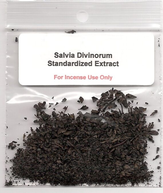 Salvia divinorum for sale